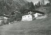 Haus (Positivo) (1970/01/01 - 1980/12/31)