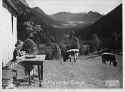 Film (Positivo) di International-Film GmbH (1951/01/01 - 1951/12/31)