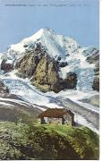 rifugio (Positivo) di Leo Stainer,Amonn, Johann F. (1910/01/01 - 1930/12/31)