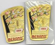 3. Autoraduno Internazionale Merano - 1956