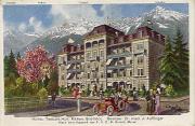 Hotel (Positivo) di Verlag Hotel Tiroler-Hof,Reisch, Franz August Carl Maria (1900/01/01 - 1910/12/31)