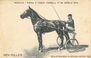 Cavallo (Positivo) (1901/01/01 - 1902/12/31)