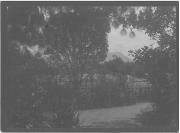 Foto (Positivo) (1887/01/01 - 1908/12/31)