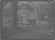 albero (Positivo) (1887/01/01 - 1908/12/31)