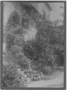 Foto (Positivo) (1887/01/01 - 1908/12/31)