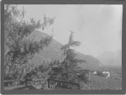 Foto (Positivo) (1887/01/01 - 1908/12/31)