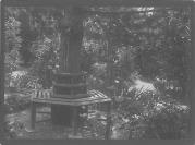 Foto (Positivo) (1887/01/01 - 1908/12/31)