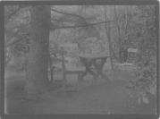 giardino (Positivo) (1887/01/01 - 1908/12/31)