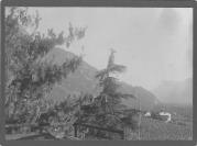 Foto (Positivo) (1887/01/01 - 1908/12/31)