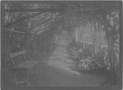 Foto (Positivo) (1887/01/01 - 1908/12/31)