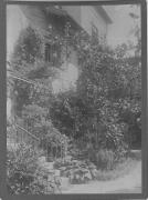 Foto (Positivo) (1887/01/01 - 1908/12/31)