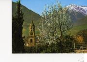 Tappeinerweg (Positivo) di Foto Edizioni Ghedina (1969/01/01 - 1969/12/31)