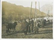 Ausstellung (Positivo) di Ellmenreich, Albert (1917/11/12 - 1917/11/12)