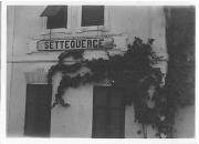 Transport (Positivo) (1919/01/01 - 1919/12/31)