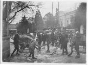 bambino (Positivo) di Ellmenreich, Albert (1917/02/18 - 1917/02/18)