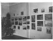 Ausstellung (Positivo) di Ellmenreich, Albert (1918/05/51 - 1918/05/51)