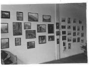 Ausstellung (Positivo) di Ellmenreich, Albert (1918/05/09 - 1918/05/21)