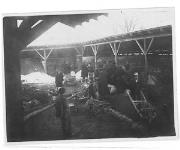 guerra (Positivo) di Ellmenreich, Albert (1917/12/19 - 1917/12/19)