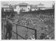 Schwimmen (Positivo) di Ellmenreich, Albert (1918/08/01 - 1918/09/93)