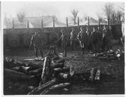 guerra (Positivo) di Ellmenreich, Albert (1918/01/29 - 1918/02/03)