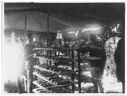 Brot (Positivo) di Ellmenreich, Albert (1918/01/29 - 1918/02/06)