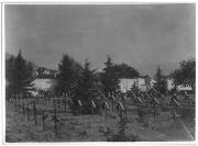 Denkmalansicht (Positivo) di Ellmenreich, Albert (1918/07/01 - 1918/07/31)