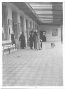 Staatsbesuch (Positivo) di Ellmenreich, Albert (1911/11/01 - 1911/11/13)