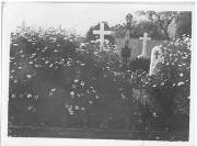 Denkmalansicht (Positivo) di Ellmenreich, Albert (1915/03/31 - 1918/04/43)