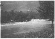 Gewässer (Positivo) di Ellmenreich, Albert (1917/08/04 - 1917/08/04)