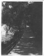 strada (Positivo) di Ellmenreich, Albert (1915/05/23 - 1915/12/31)