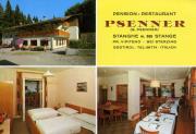 Psenner (Positivo) (1970/01/01 - 1980/12/31)