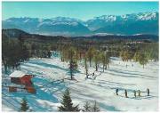 sciare (Positivo) di Omniafoto (1970/01/01 - 1980/12/31)