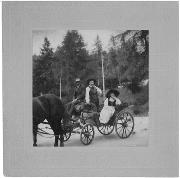 carrozza (Positivo) (1905/01/01 - 1905/12/31)