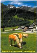 Cavallo (Positivo) di Dieter Drescher, Meran (1993/01/01 - 2000/12/31)
