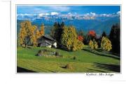 Herbst (Positivo) di Dieter Drescher, Meran (1993/01/01 - 2000/12/31)