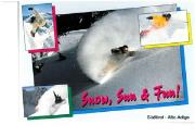 Snowboarden (Positivo) di Dieter Drescher, Meran (1993/01/01 - 2000/12/31)
