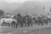 Cavallo (Positivo) di Nebl, Alois (1914/01/01 - 1918/12/31)