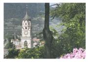 Natur (Positivo) di Diözese Bozen - Brixen,Rier, Helmuth (2011/07/27 - 2014/04/43)