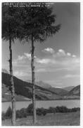 albero (Positivo) di Fränzl, Lorenz (1930/01/01 - 1950/12/31)