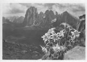 panoramica (Positivo) di Fränzl, Lorenz (1930/01/01 - 1940/12/31)