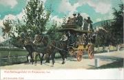 cavalli (Positivo) di Amonn (1907/01/01 - 1907/12/31)