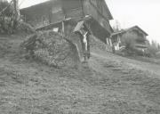 Haus (Positivo) (1977/10/01 - 1977/10/31)