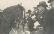 Pferderennen (Positivo) di Joffé, Emil (1925/01/01 - 1925/12/31)