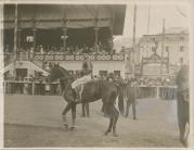 Pferderennen (Positivo) di Bährendt, Leo (1910/01/01 - 1910/12/31)