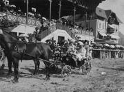 Umzug (Positivo) (1902/01/01 - 1902/12/31)