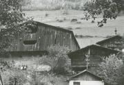 Haus (Positivo) (1977/10/01 - 1977/10/31)
