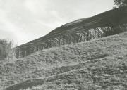 Holzzaun (Positivo) (1977/10/01 - 1987/10/31)