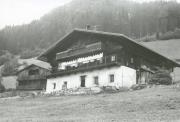 Haus (Positivo) (1977/10/01 - 1987/10/31)