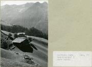 Kühe (Positivo) (1977/01/01 - 1977/12/31)