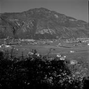 Obstbaum (Positivo) di de Vries, Gideon (1998/01/26 - 1998/01/26)